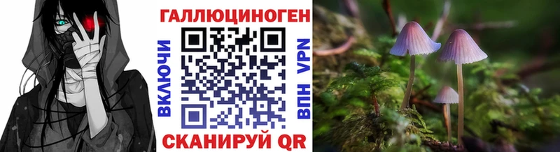 как найти закладки  Ивдель  Галлюциногенные грибы Magic Shrooms 